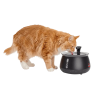 KorvaWell™ Cat Water Fountain