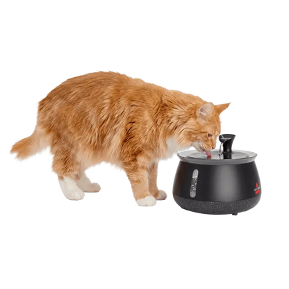 KorvaWell™ Cat Water Fountain