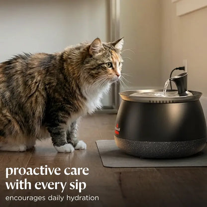 KorvaWell™ Cat Water Fountain