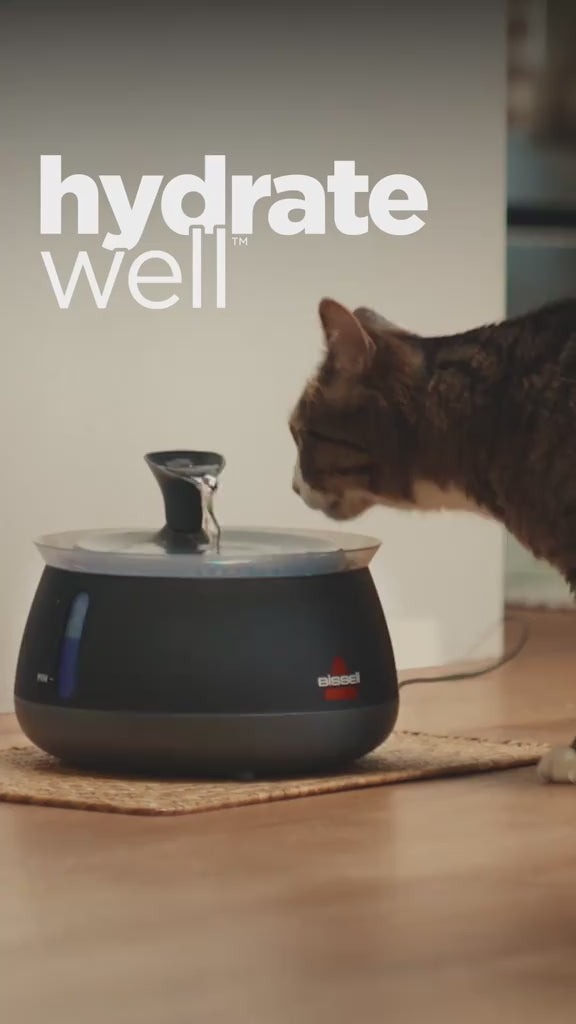 KorvaWell™ Cat Water Fountain